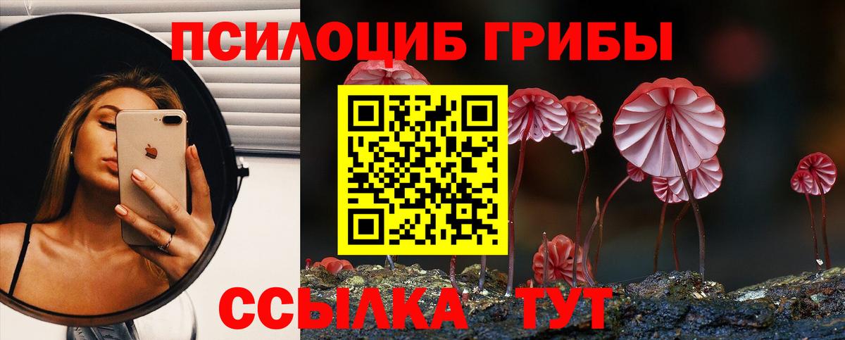 Котельники  Галлюциногенные грибы Psilocybe  Галлюциногенные грибы GOLDEN TEACHER  Вход с VPN 